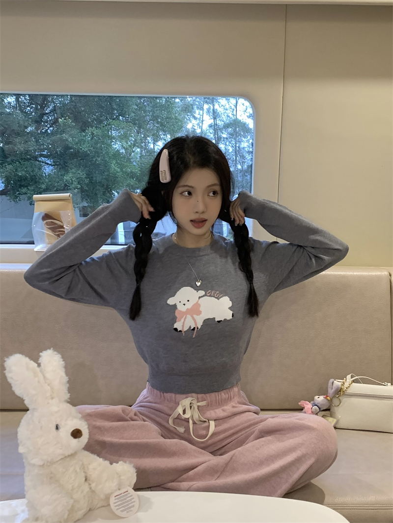 Actual shot~original Korean style cute bow puppy jacquard sweater top