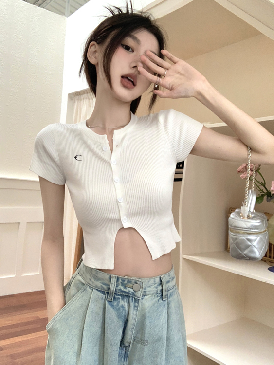 Actual shot of short-sleeved solid color simple temperament embroidered slim hot girl knitted top