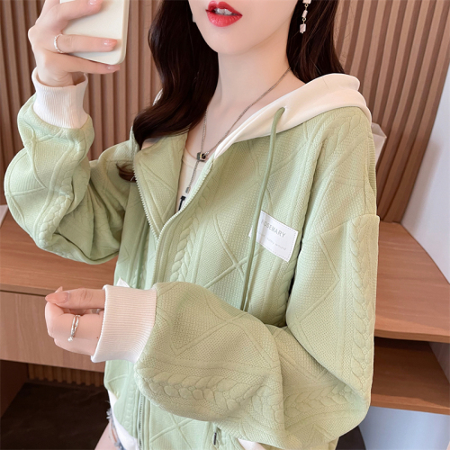 Actual shot of spring Korean style loose jacquard with inner hooded embroidered zipper cardigan large size thin jacket for women