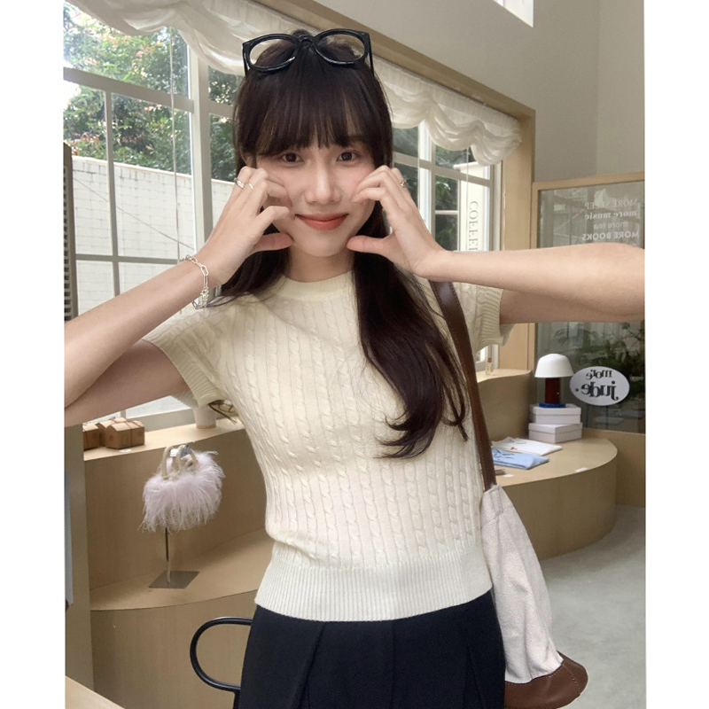 實拍圖設計感麻花紋純色針織短袖T恤女春秋2024新款圓領正肩上衣