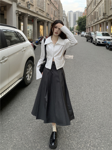 Actual shot # Pure Desire Sexy Small Slit Waist Shirt Mid-Length Elegant Gray Skirt