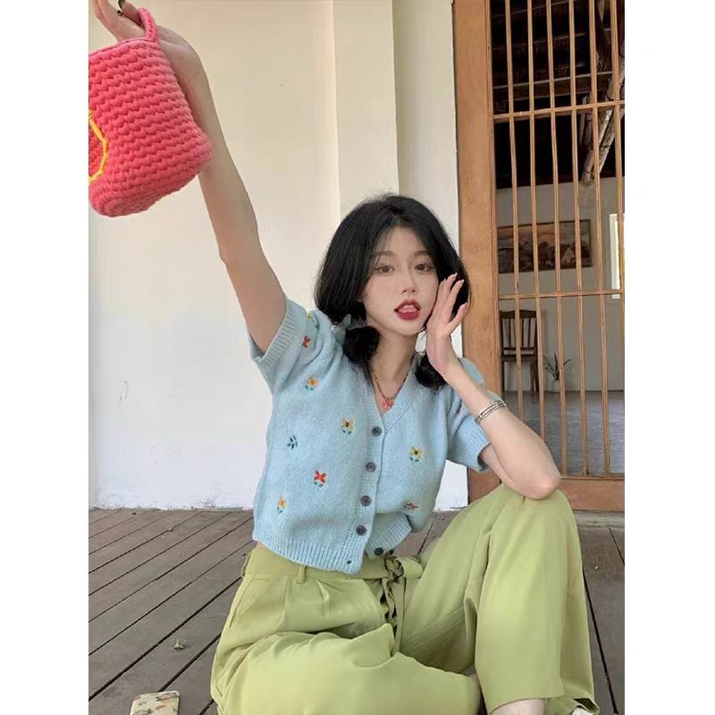 淺藍色v領刺繡短袖針織衫女2024夏季新款氣質修身港味復古上衣潮
