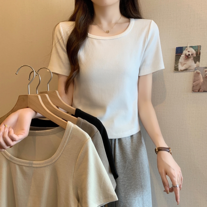 Real shot 40 count pure cotton 2024 summer wear curved hem method short slim fit T-shirt for hot girls