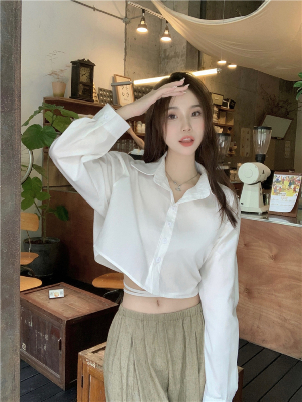 Real shot!  Sweet cool long-sleeved simple shirt for women Korean style small design loose and versatile short top