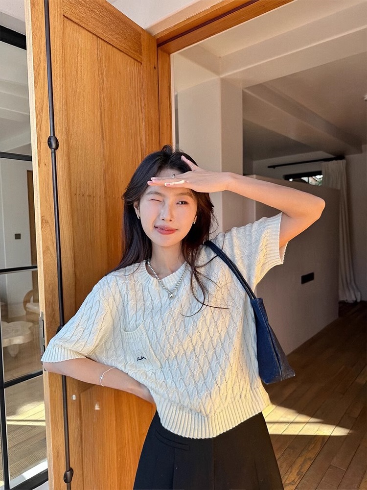 2024春夏新款麻花短袖毛衣女設計感小眾寬鬆慵懶風小個子針織上衣