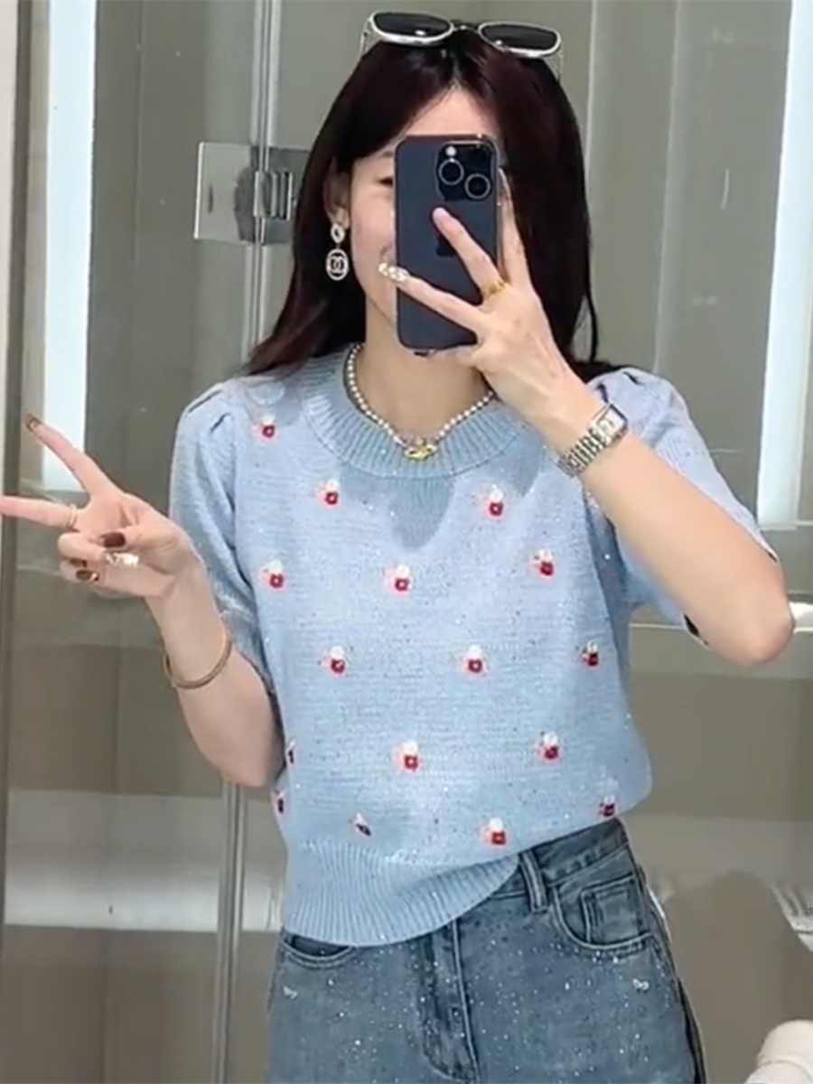 2024春夏新款彩色刺繡花朵時尚百搭短袖毛衣女設計感小眾針織衫潮