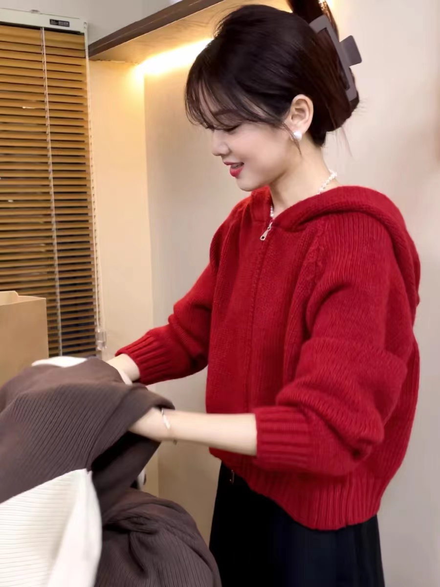 連帽拉鏈毛衣外套女春秋加厚寬鬆慵懶風小個子針織開衫設計感小眾