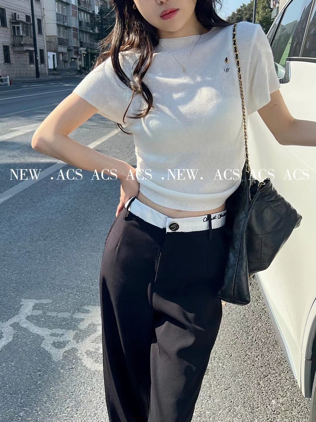 ACS圖案刺繡圓領短袖T恤女修身白色2024春夏新款針織衫打底衫上衣