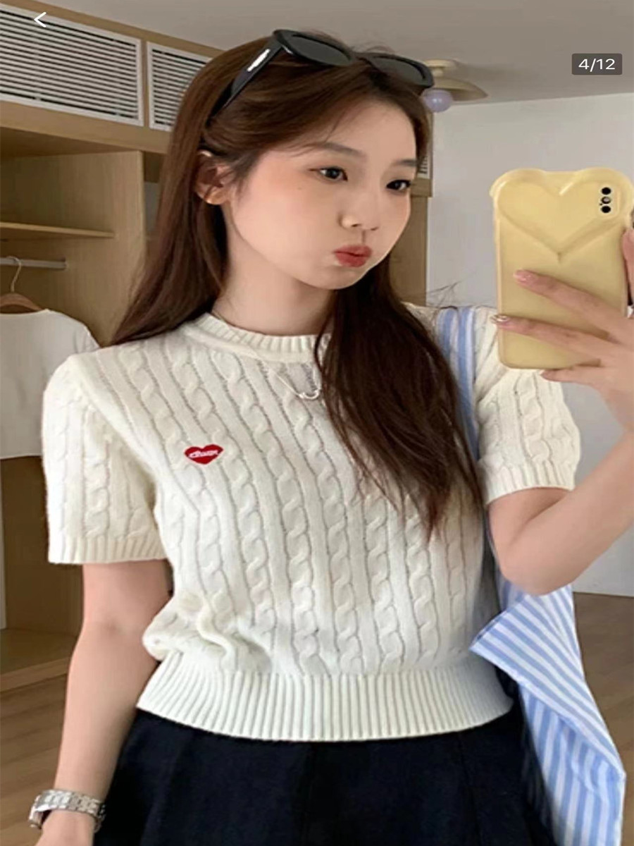 刺繡春夏薄款法式短袖小個子內搭圓領針織衫打底衫上衣女