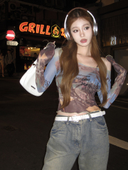 Photographed Oil Painting Mesh Gauze Print Slimming Short Top Cover Shirt Summer Original Millennials Spicy Girl Sunscreen Layer T