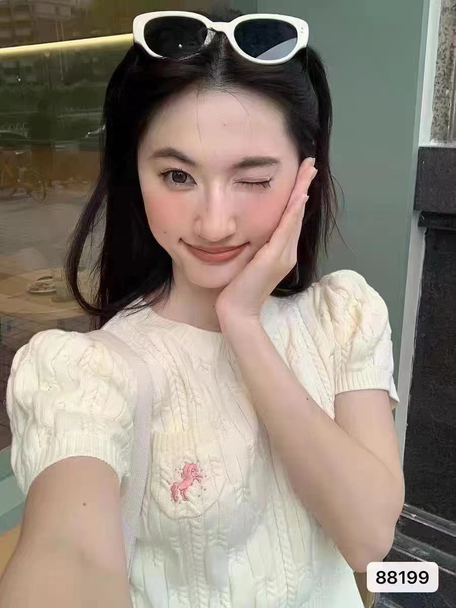 新款港味復古圓領刺繡顯瘦短袖上衣女