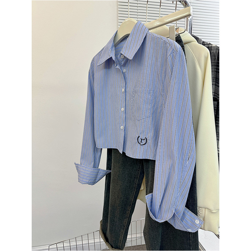 實拍 韓系刺繡藍色條紋襯衫女2024春秋新款小個子別致顯瘦外套潮