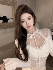 Photographed Lace Patchwork Mesh Top Sexy and Unique T-Shirt Fitted Knit Shirt