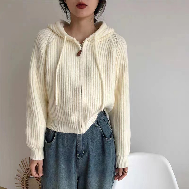 連帽短款開衫上衣春裝女2024年新款韓系毛衣外套女寬鬆慵懶風