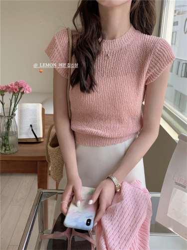 THE LEMON春季针织衫女韩版新款圆领修身显瘦洋气纯色短袖上衣潮