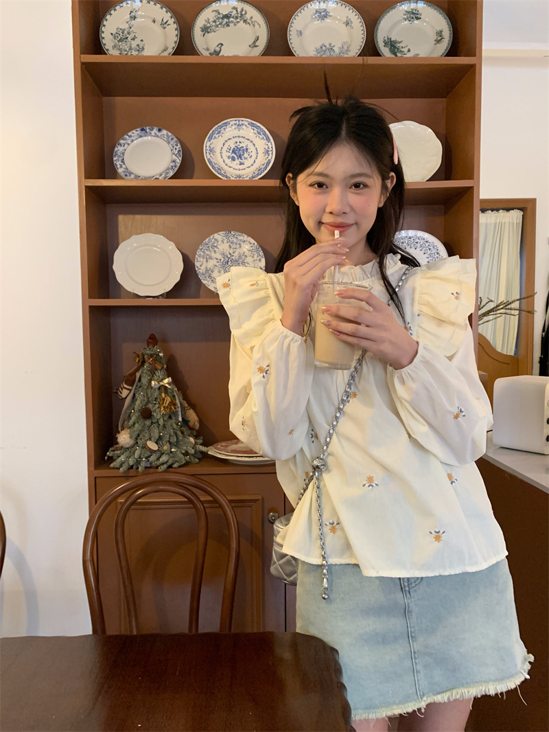 Real shot of new spring design baby doll shirt with lotus leaf embroidery, loose French sweet temperament long-sleeved shirt