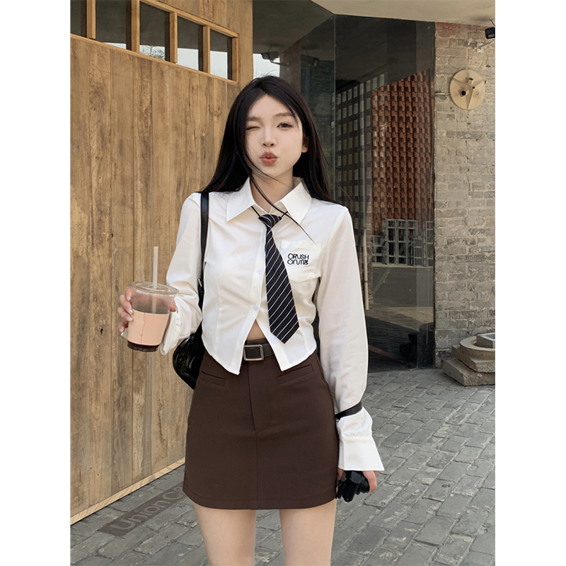 學院風領帶白色襯衫女春季新款設計感小眾刺繡修身短款長袖上衣潮