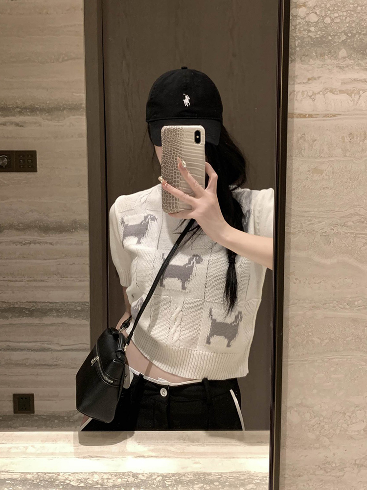 初春多巴胺穿搭小狗圖案針織衫女修身百搭小個子夏季新款短袖T恤