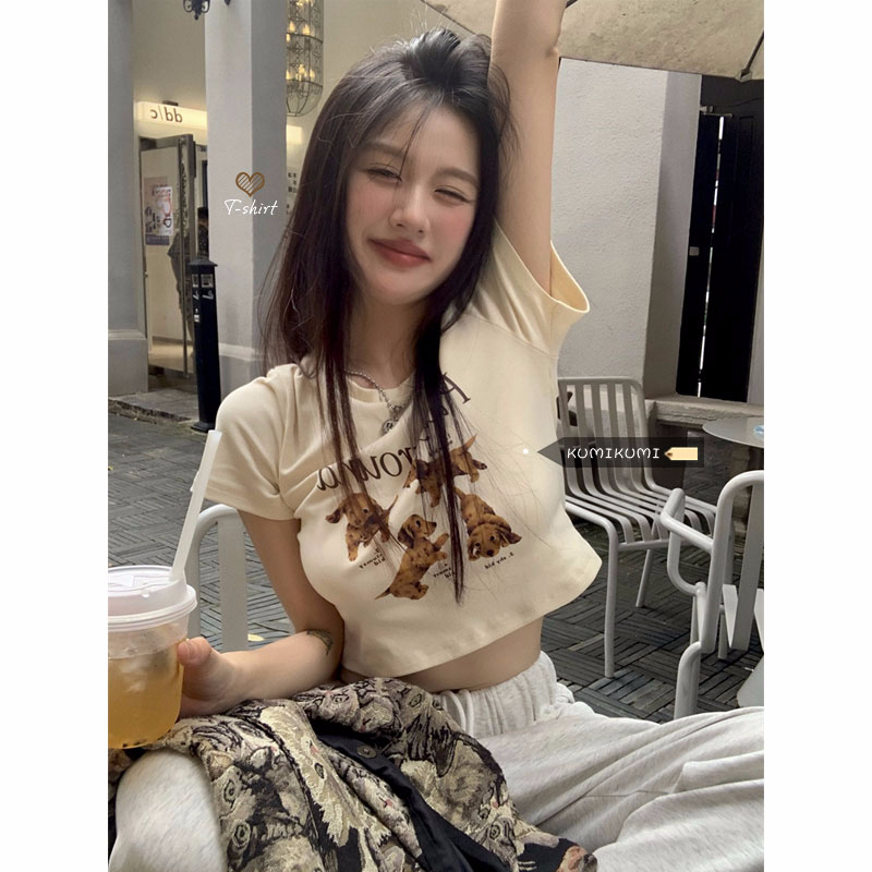 2024年夏裝新款 92棉/8氨綸40支210g純棉 修身短款T恤女短袖