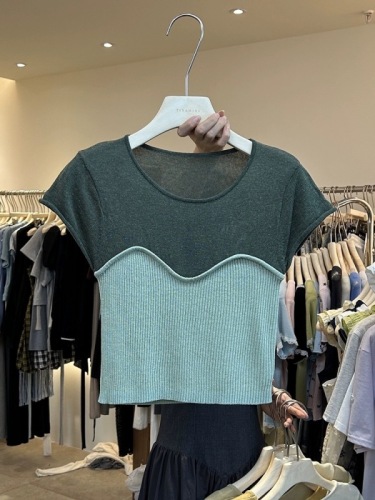 Dongdaemun Women's Clothing 2024 Spring and Summer Korean Girly Fake Two-Piece Short-Sleeved T-Shirt Women's Waist Slimming Versatile Top