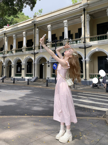 Pink embroidered ruffle dress 2024 spring and autumn new sweet temperament holiday style small flying sleeves long skirt for women