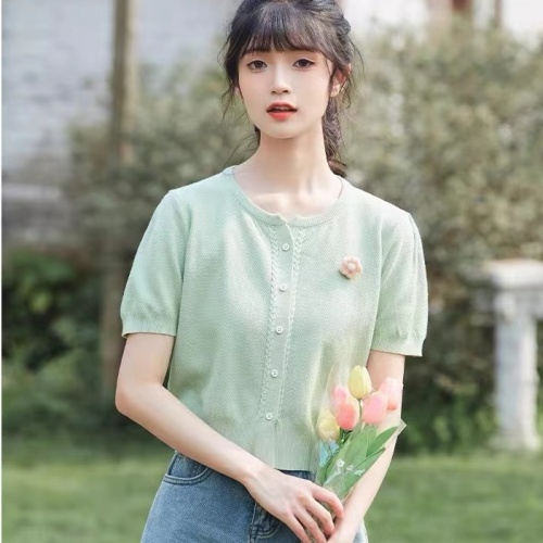 2024韩版INS新款花朵重工复古圆领百搭短袖短款针织上衣女