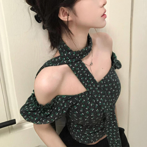 Complete with three standards ~ 2024 spring new floral puff sleeve one-shoulder retro slimming short top