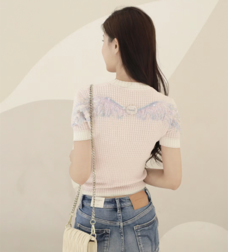 Autumn and winter base layer 2024 good quality angel wings sweater short-sleeved round neck top GLYP internet celebrity same style
