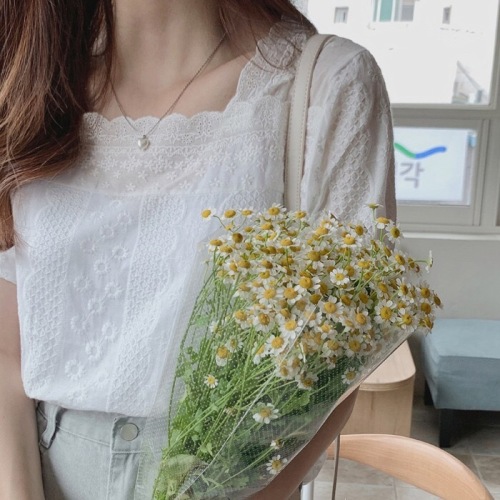 French niche exposed clavicle square collar lace shirt women's summer new Japanese sweet and age-reducing fresh embroidered top