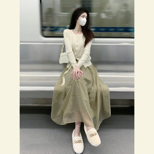 韩国外贸订单大码夏季2024新款欧根纱高腰a字纱裙半身裙