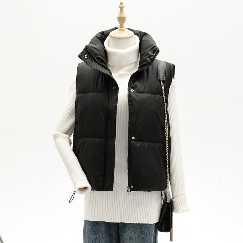 Actual shot of 2024 new autumn and winter Korean style short stand-up collar vest, foreign style, loose and versatile, vest, cotton jacket, foreign trade