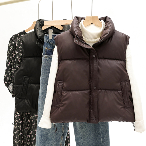 Actual shot of 2024 new autumn and winter Korean style short stand-up collar vest, foreign style, loose and versatile, vest, cotton jacket, foreign trade