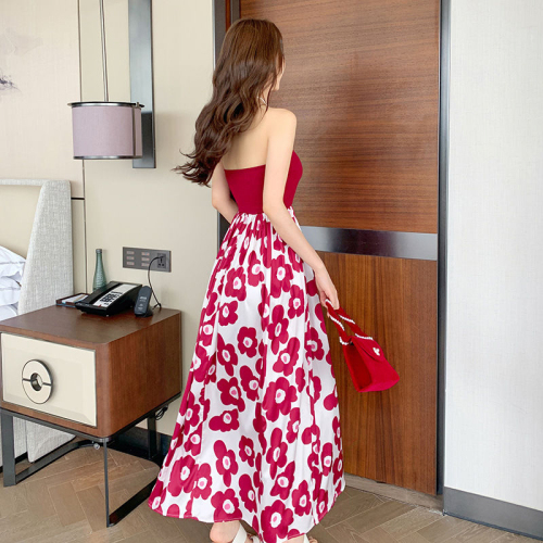 French summer new temperament sweet and spicy style beach seaside vacation super fairy tube top high waist long skirt printed dress