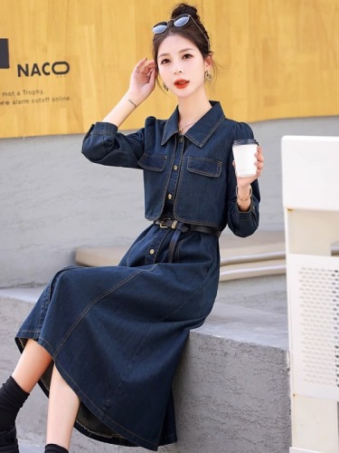 Early autumn long-sleeved denim splicing dress for women spring and autumn new design niche fake two-piece skirt