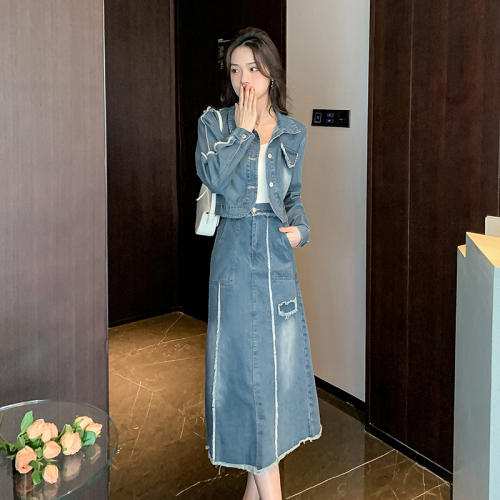 Spring women's new denim skirt casual suit, fashionable and age-reducing two-piece dress