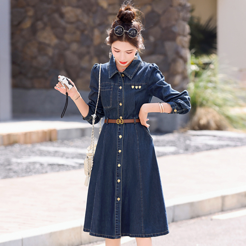 Hot style denim dress for women spring and autumn new style small fashion temperament slim waist with belt