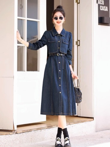 Early autumn long-sleeved denim splicing dress for women spring and autumn new design niche fake two-piece skirt