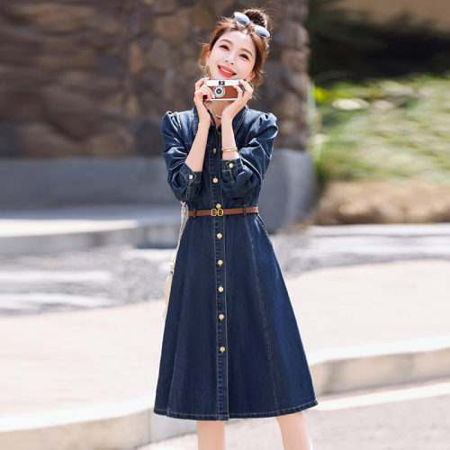 Hot style denim dress for women spring and autumn new style small fashion temperament slim waist with belt