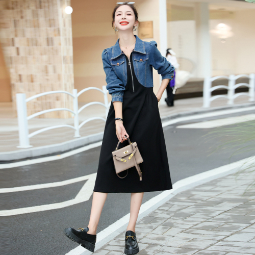 Early autumn long-sleeved denim splicing dress for women spring and autumn new design niche fake two-piece skirt