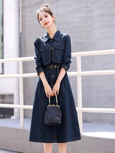 Early autumn long-sleeved denim splicing dress for women spring and autumn new design niche fake two-piece skirt