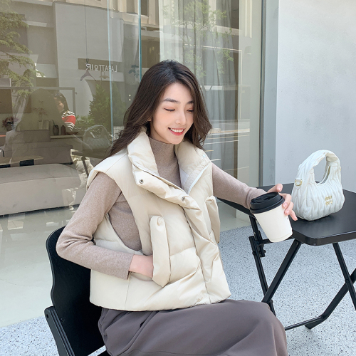 Actual shot of autumn and winter new Korean style loose and versatile down cotton stand-up collar solid color vest short outer jacket