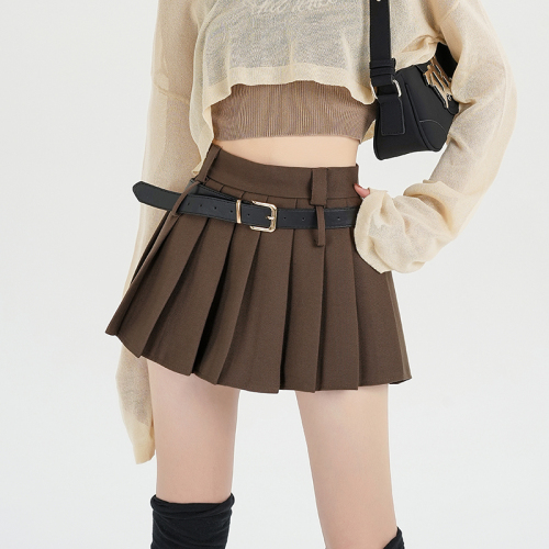 Spring style Internet celebrity hot girl high-waist slim versatile short skirt skirt pleated skirt