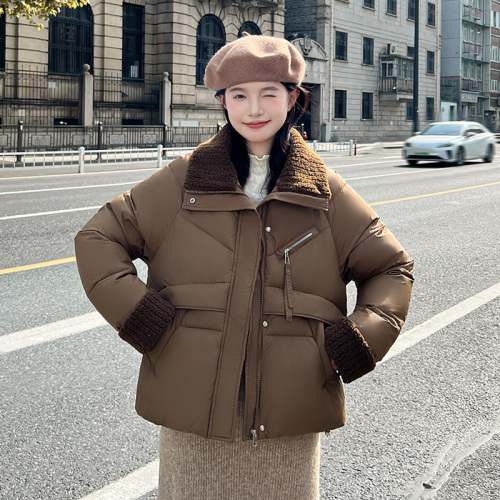 Solid Color Stand Collar Down Jacket 2024 New Winter Thickened Casual Design Warm Hoodless Jacket