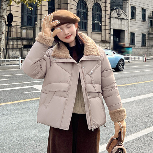 Solid Color Stand Collar Down Jacket 2024 New Winter Thickened Casual Design Warm Hoodless Jacket