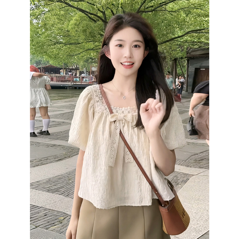 Small French lace chiffon shirt for women in summer, high-end, slim, puff-sleeved short top, niche design