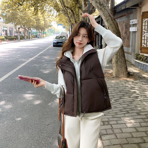 Real vest for women, autumn and winter, Korean version, versatile down cotton vest, short outer wear jacket