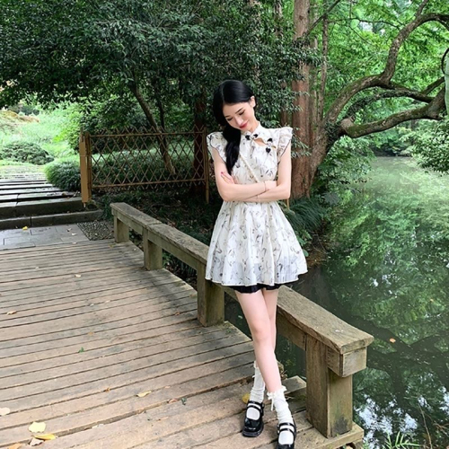 New Chinese style beautiful and fresh niche dress for women 2024 summer new style retro small slim slim skirt