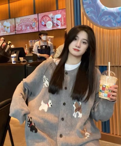 Sandwich egg tart original homemade 2024 spring and autumn design gray puppy sweater Korean style cute knitted jacket