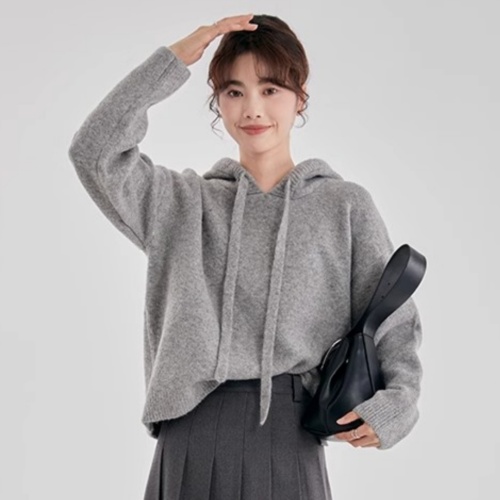Japanese hooded sweater women's autumn new loose lazy style sweater jacket fashionable foreign top