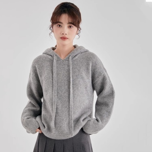 Japanese hooded sweater women's autumn new loose lazy style sweater jacket fashionable foreign top